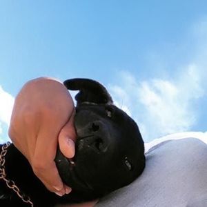 Meet your Posher, Isiah